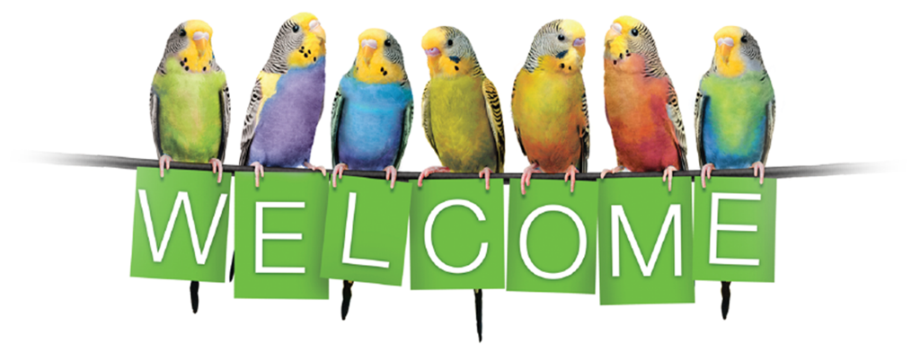 Welcome!