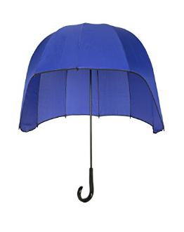 umbrella_helmet.PNG