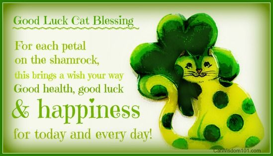 st.patricks-day-blessing-cat-luck.jpg