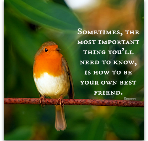 Is-how-to-be-your-own-best-friend.png