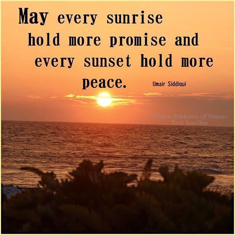 13687179_654793871343615_129141999_n (1).jpg