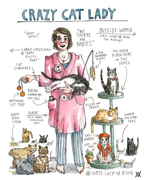 Crazy_Cat_Lady_2.jpg