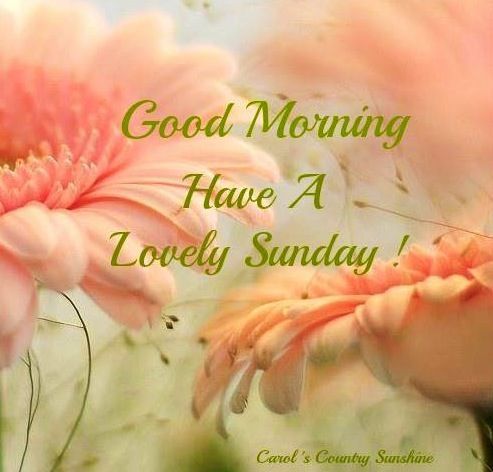 6bd00a72377cf3789f75cf4234ec0c16--happy-sunday-morning-blessed-sunday.jpg
