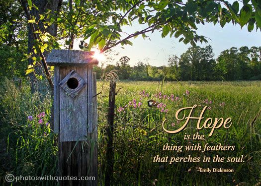 1806341720-quotes-hope-172 (1).jpg