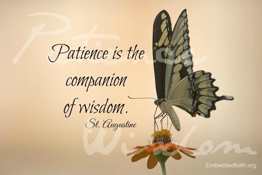 Patience-is-the-companion-of-wisdom.-3.jpg