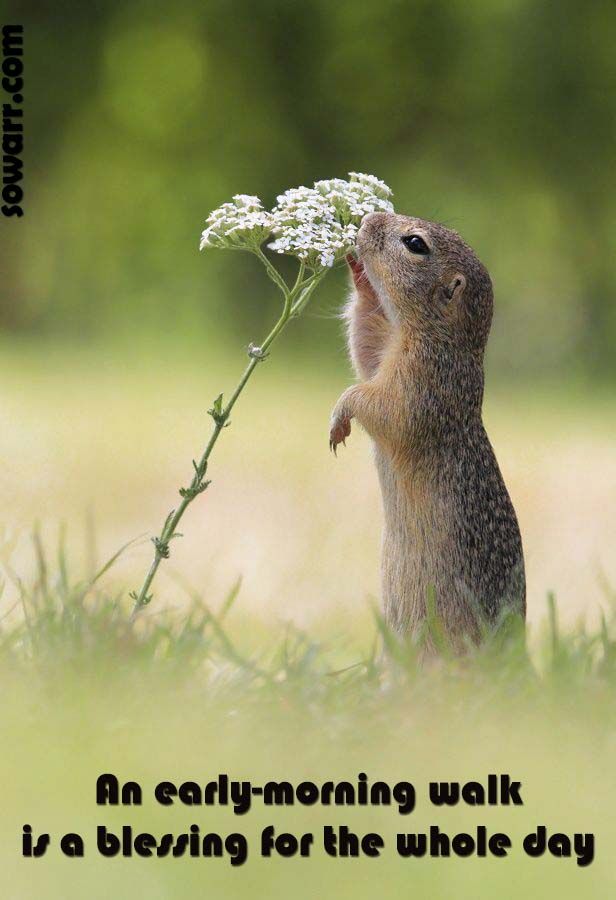 3ca4d6d8c150c907878dfce84fbc5ab0 (1).jpg