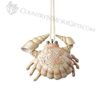 crab ornament - Jim Shore.jpg