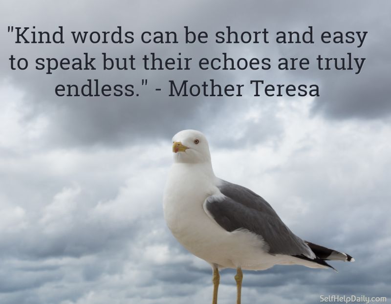 quote-about-kindness-by-mother-teresa (1).jpg