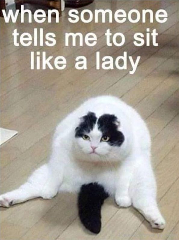 When-Someone-Tells-Me-To-Sit-Like-A-Lady-595x800.jpg