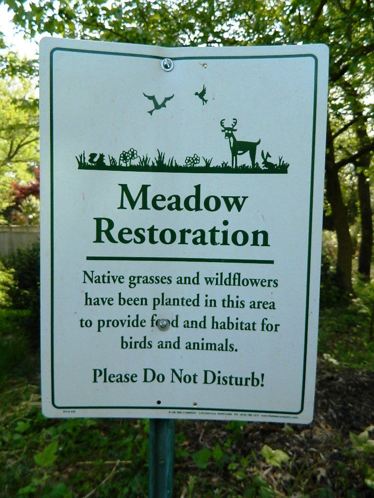 Meadow-Restoration_No-Mow-Zone-sign-1 (1).jpg