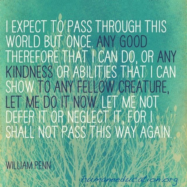 427dfef8c5d755fecc9f20048b12659d--education-favorite-quotes (1).jpg