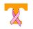 orange T with pink ribbon.jpg