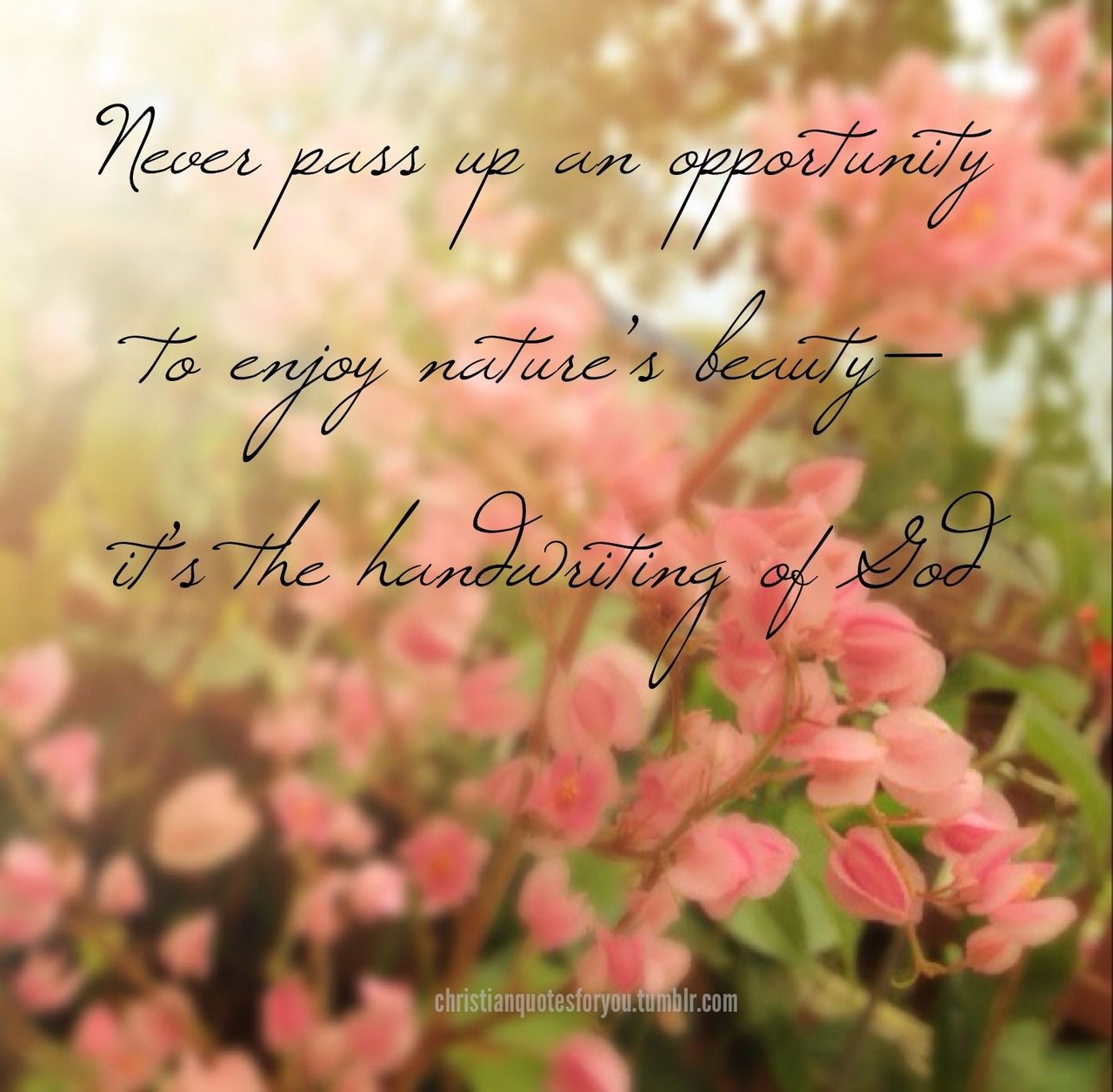 17e4ac0d6039252d841092a10d3a5ad8 - Copy (2) (1).jpg