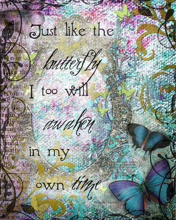 e0b480651b4190ef7982a62d08221a41--butterfly-images-butterfly-wings (1).jpg