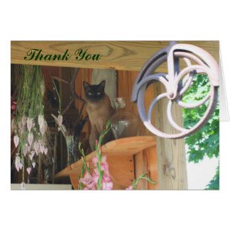 siamese_cat_animal_photography_thank_you_card_2-r682bf9a1ae364179ba281b6ffdad5b33_xvua8_8byvr_324.jpg