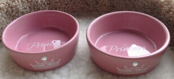 new princess bowls sized.jpg