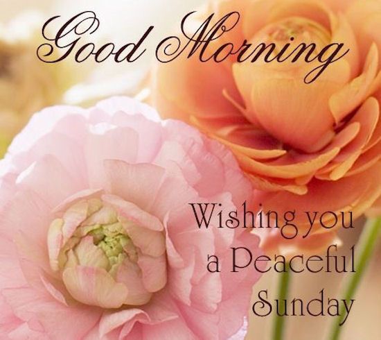 209581-Good-Morning-Wishing-You-A-Peaceful-Sunday-Quote.jpg