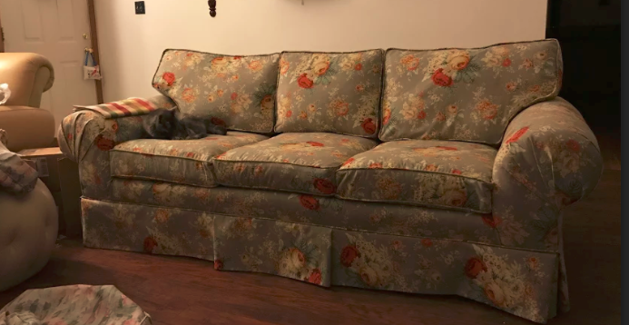 new sofa.PNG