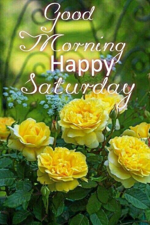 5f1d2d265572a56bde5e40022f031d6c--happy-saturday-quotes-good-morning-happy-saturday.jpg