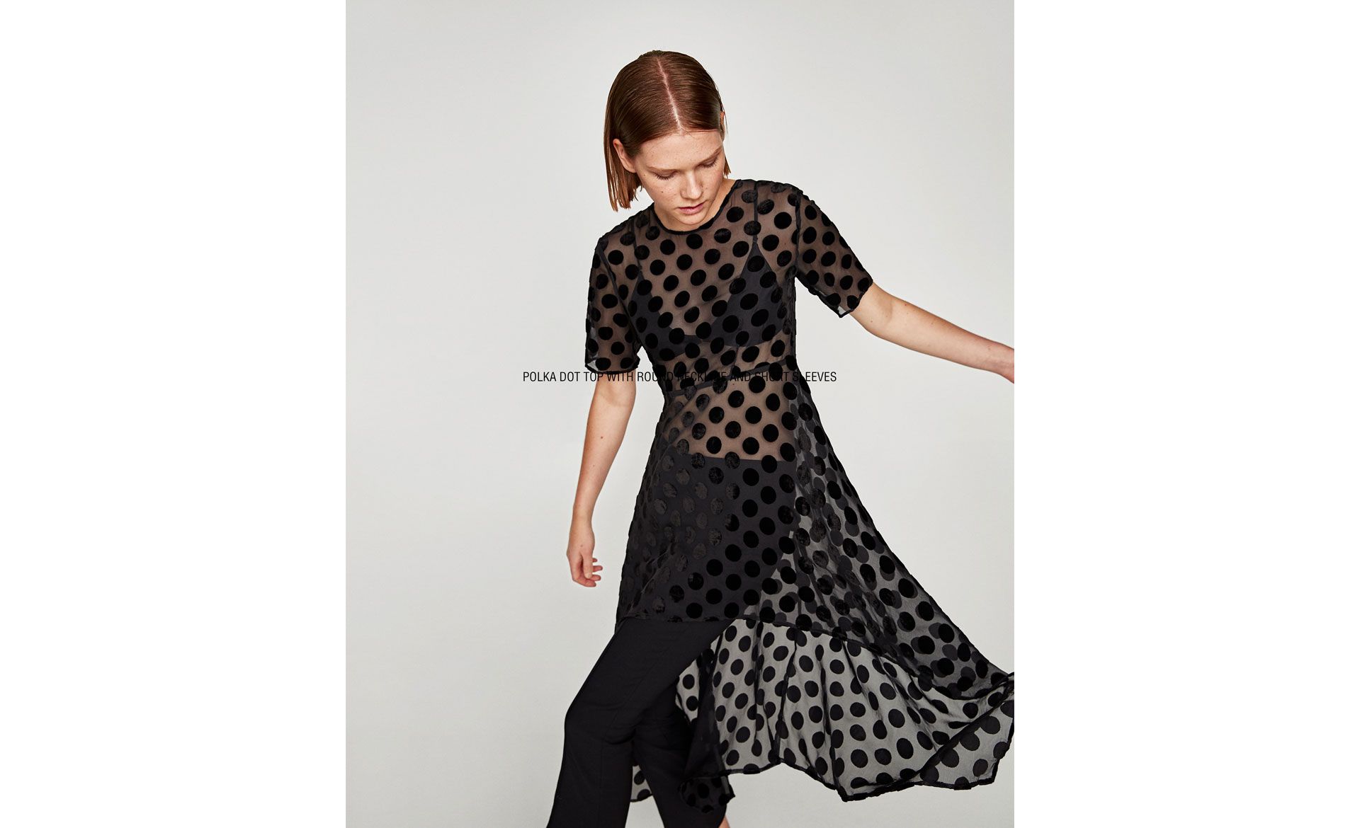 Zara sheer dots.jpg