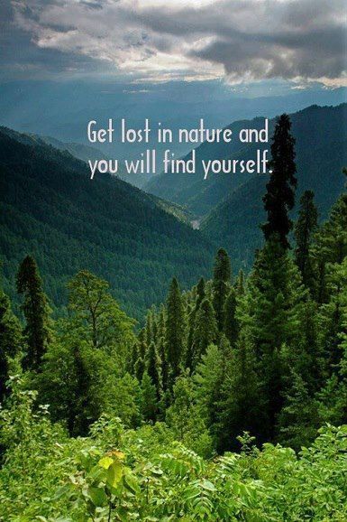 8b15fc6c841f7f62920090ff7bc75346--nature-quotes-quotes-about-nature.jpg