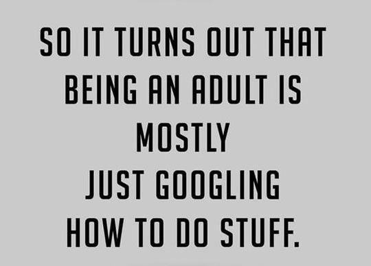 a8650ee812953f1744d13f9a05207dc2--the-geek-being-an-adult.jpg