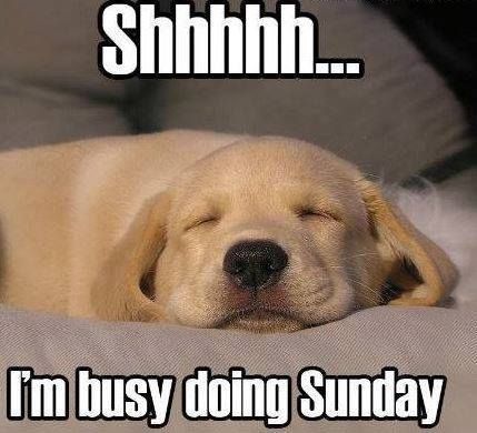 93266-Shh-I-m-Busy-Doing-Sunday.jpg