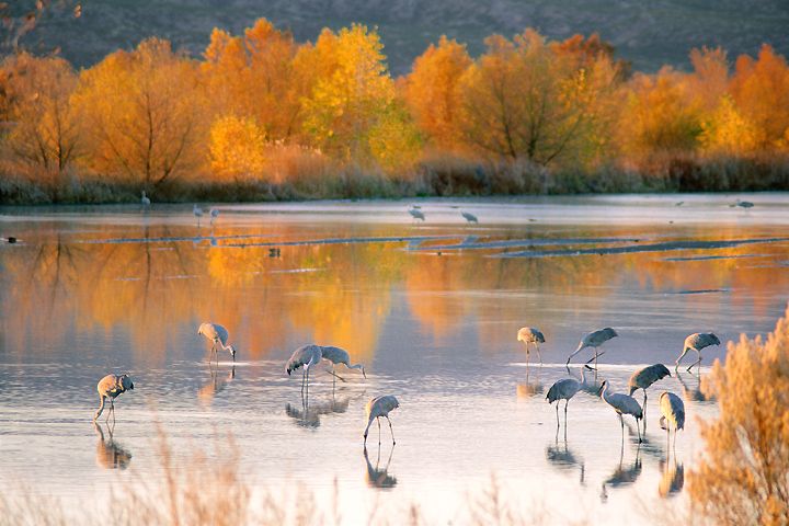 Fall in NM