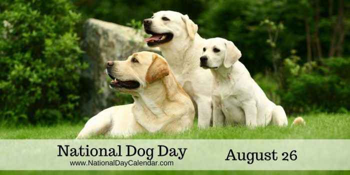 National Dog Day.jpg