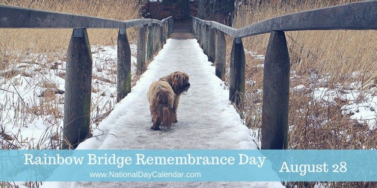 National Rainbow Bridge Remembrance Day.jpg