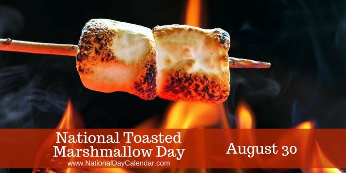 National Toasted Marshmallow Day.jpg