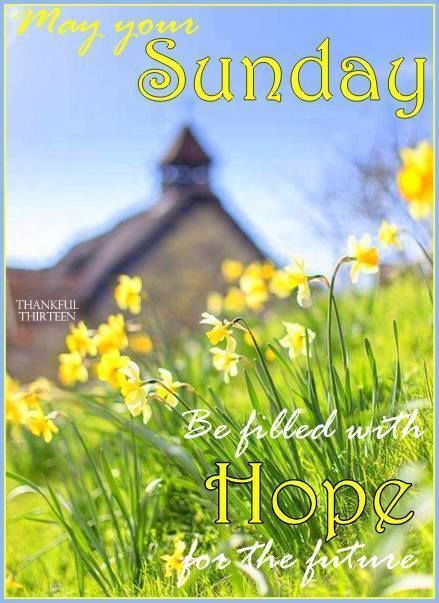 867c3ff3c9d971472f03ef0cbac09b2a--happy-sunday-quotes-blessed-sunday.jpg