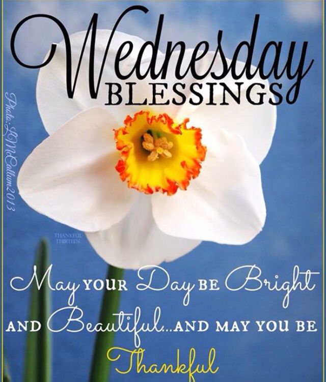 296510-Wednesday-Blessings-May-Your-Day-Be-Bright-And-Beautiful.jpg