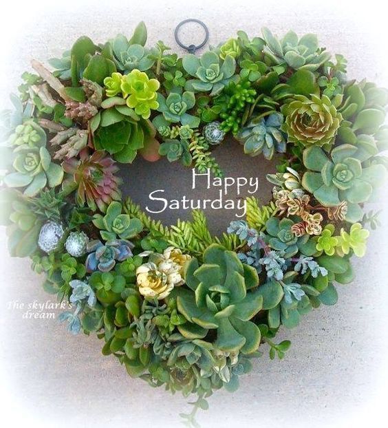 a17e5971a429a401dca110ec6a9fca4a--saturday-greetings-happy-saturday-quotes.jpg