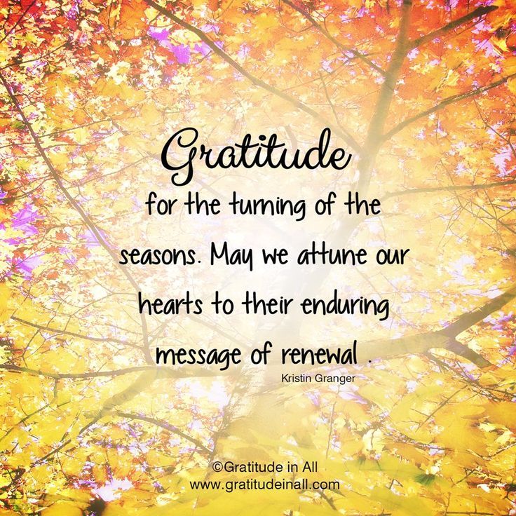 f22883fb09c52869c67c1cf3578d375e--attitude-of-gratitude-gratitude-quotes.jpg