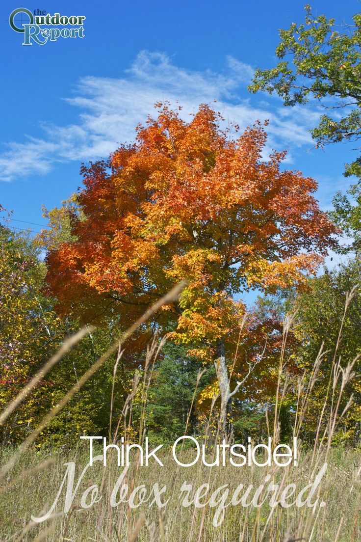 fb38da9bf963011b14757ae40c9d545f--camping-outdoors - Copy (2).jpg