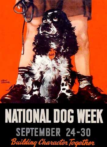 DOG WEEK!