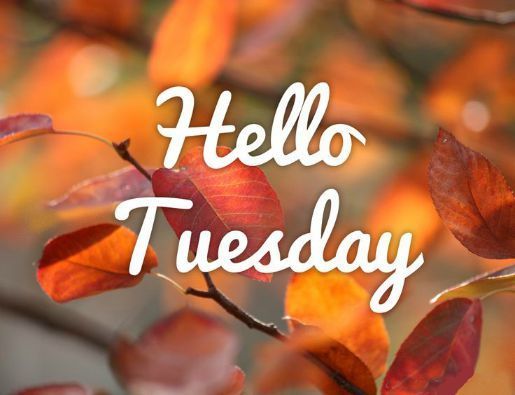 4a773812cf6241c625a774e99bcbf348 (1).jpg