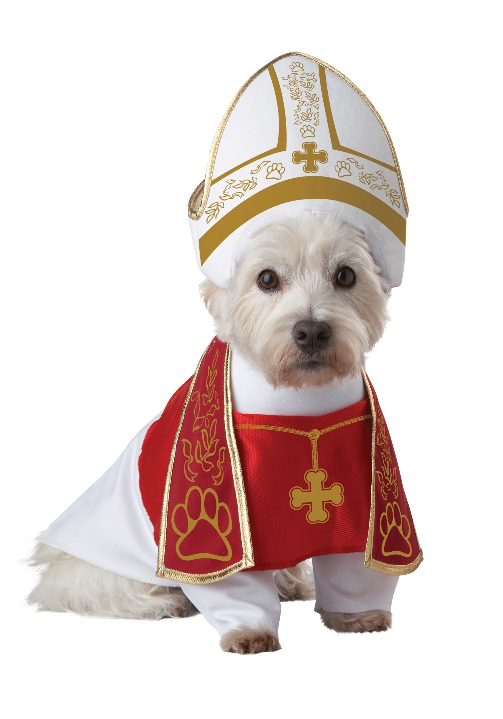 holy-hound-pet-costume.jpg