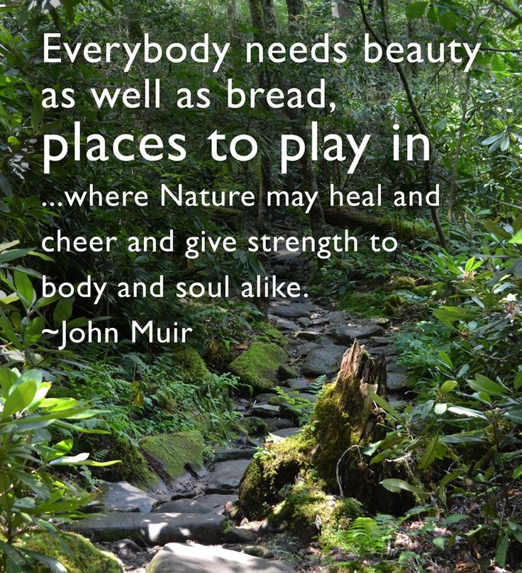 042c2502d794743f1333d0757261faca--wilderness-quotes-john-muir-quotes.jpg