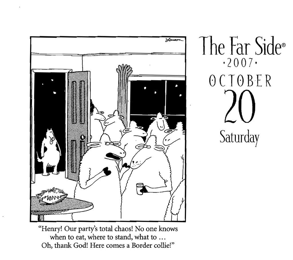 Far Side