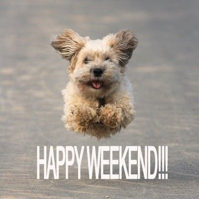 cc49ee2e66ede1b83f9ce3e2dba12ca0--happy-weekend-quotes-happy-quotes.jpg