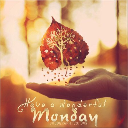 d8d0433deb4b5161d2f9a299aceedc3d--monday-quotes-quote-life (1).jpg