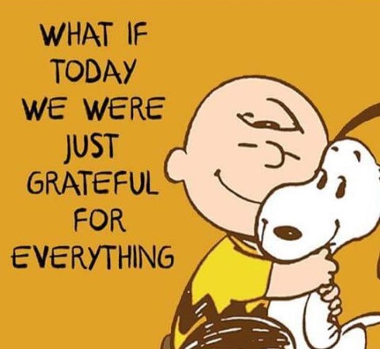 1222474cc75cf57fdbbbeaa8445327cb (1).jpg