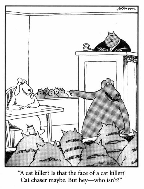 Far Side