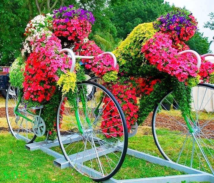 albanybicycleflowers.jpg