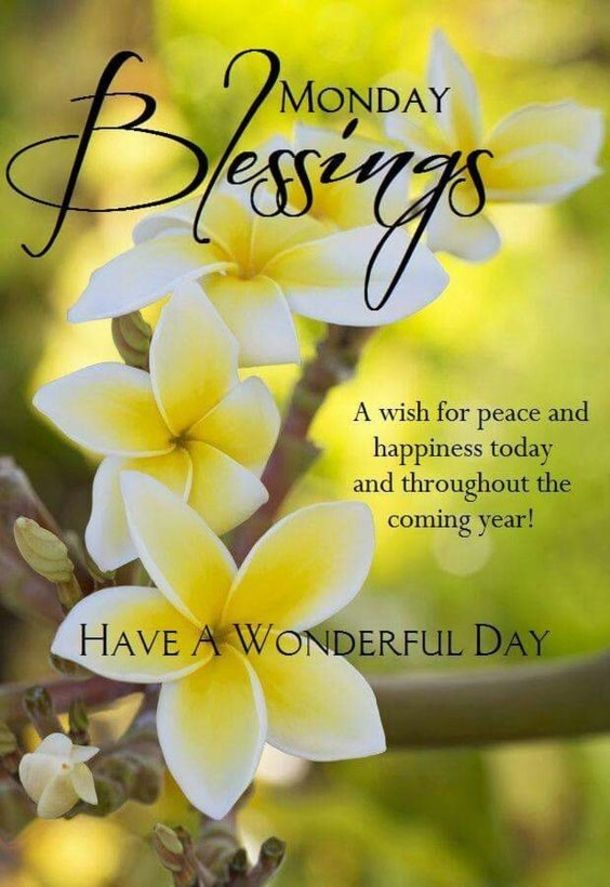 20-Monday-Morning-Quotes-amp-Blessings-8149-10 (1).jpg
