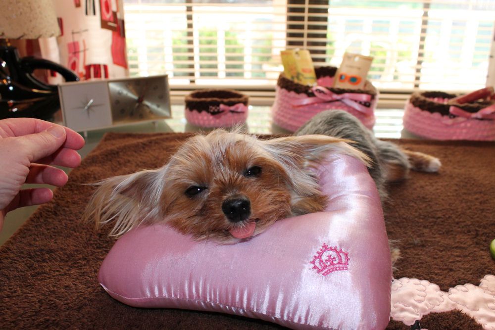 working grooming pillow.JPG