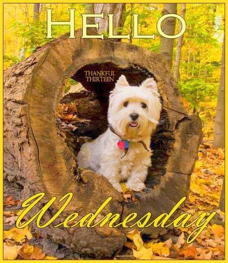 206196-Cute-Hello-Wednesday-Quote - Copy (2).jpg
