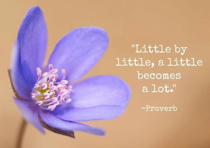 1b622449ab251b9336f30d50df9f69e4--true-quotes-daily-inspiration - Copy (2).jpg